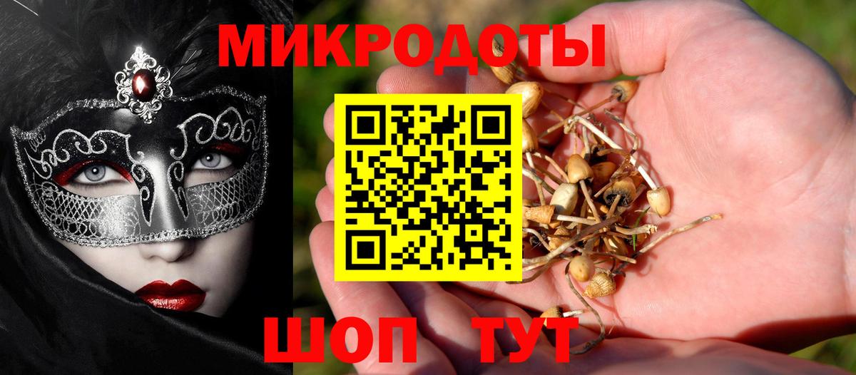 Галлюциногенные грибы GOLDEN TEACHER  Вход с VPN  Псилоцибиновые грибы мухоморы  Выкса 
